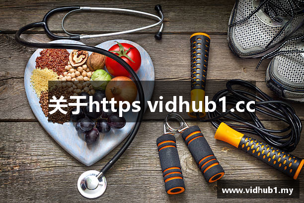 关于https vidhub1.cc